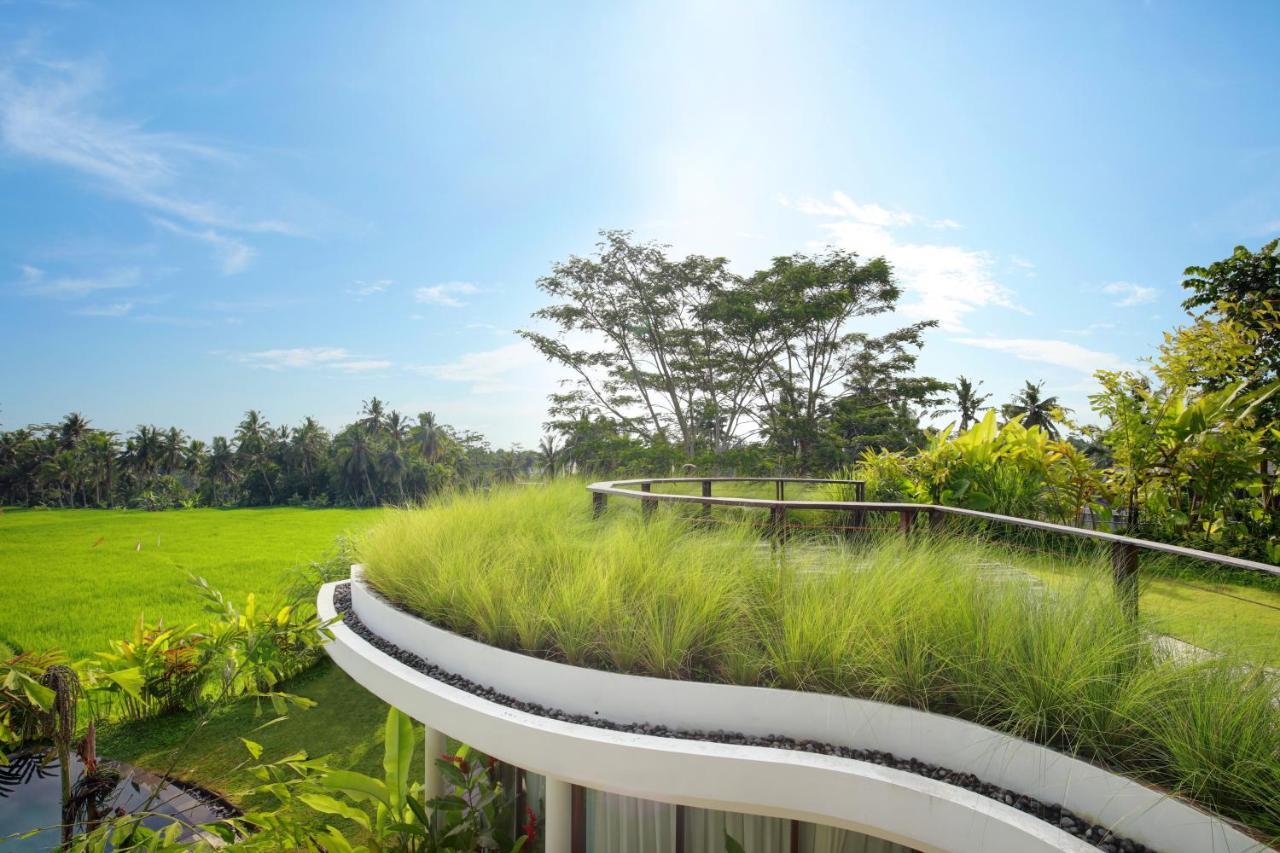Mango Ubud Экстерьер фото